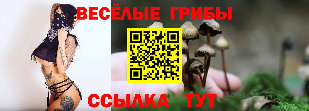 Галлюциногенные грибы прущие грибы Омск